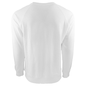 Next Level Apparel Unisex Laguna French Terry Raglan Sweatshirt